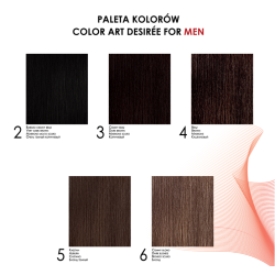STAPIZ Color Art Desiree Toner koloryzujący do włosów i brody dla mężczyzn MEN 100ML